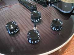 Epiphone with Roland Synth Output