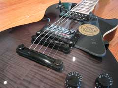 Epiphone with Roland Synth Output