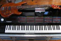 Roland G-33 bass