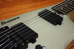 Ibanez IMG2010 Silver