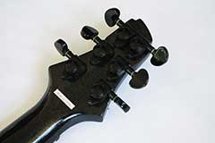 Switch Vibracell Wild IV Midi Roland ready Guitar